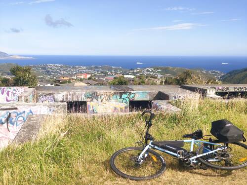 A bike lying on the grass.
