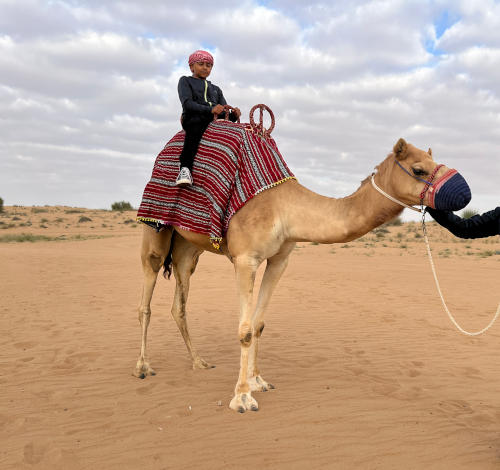 Win majestically sitting on a camel.