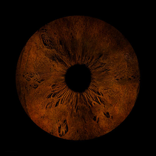 A photo of the eye of the websites creator.